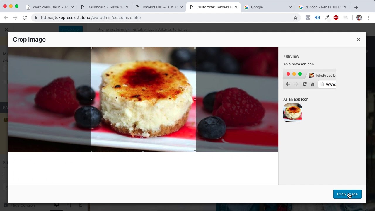Video Tutorial Theme 1.04 : Favicon / Site Icon