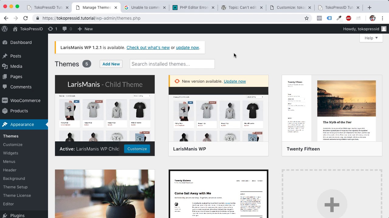 Video Tutorial Theme 1.02 : Update Theme
